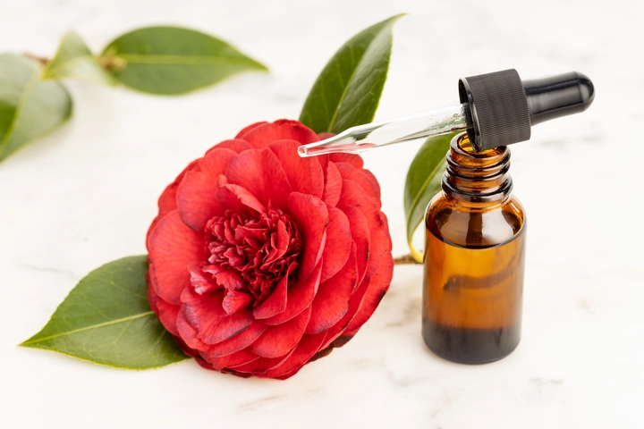 camellia oil