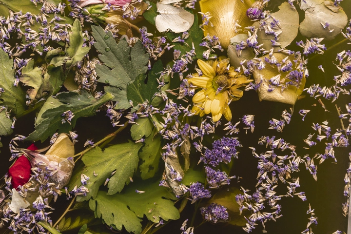 Botanical fragrances - Mountain Sea Private label | Hair Care Manufacturer & Supplier Botanical fragrances